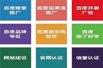 提升网站流量：SEO在百度推广的实战案例